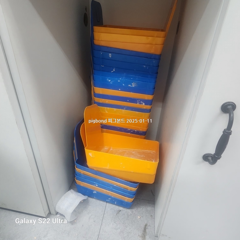 KakaoTalk_20250112_022419561.jpg
