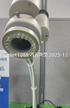 키구치-1111.png